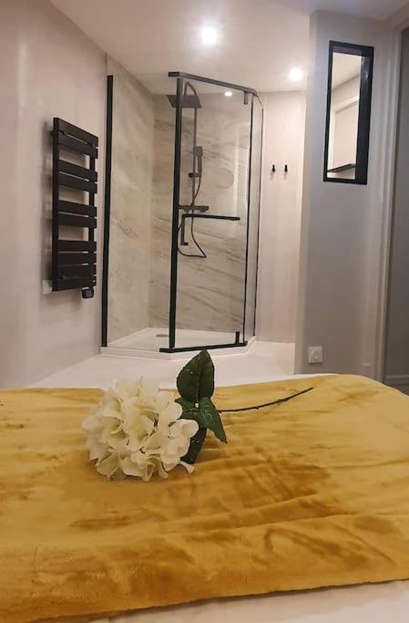 Suite Vinicole Hypercentre, Bastille & Gare 9 Min A Pied Grenoble Esterno foto